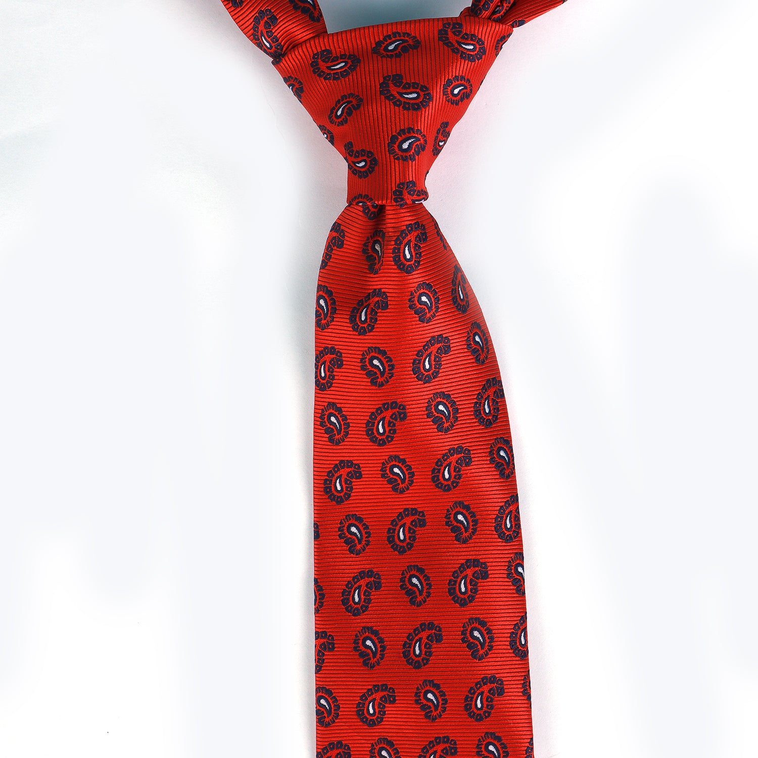 Paisley Printed Tie
